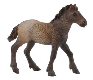 BUL62734 - Camargue veulen
