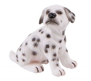 BUL65426 - Dalmatische puppy