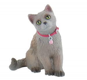 BUL66372 - Russische kat