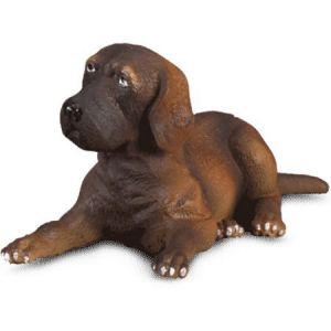 COLL88065 - Liggende Duitse dog pup