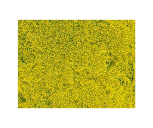 HEK1593 - Koolzaad bloemenweide grastapijt 28 x 14 cm