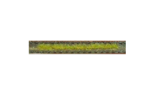 HEK1812 - Pak van 10 herfstgrasstroken 10 cm