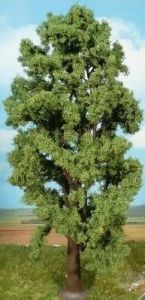 HEK1743 - Gewone esdoorn 35 cm