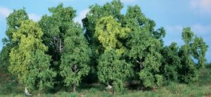 HEK1992 - 14 Loofbomen 5-12 cm