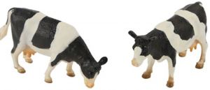 KID571873 - 2 HOLSTEIN koeien staand