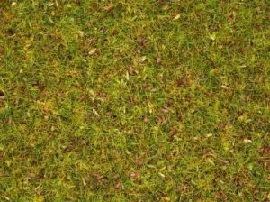 NOC08330 - Gras met bloemen - 2;5 mm - 20 g