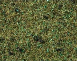 NOC08350 - Bosgras - 2;5 mm - 20 g