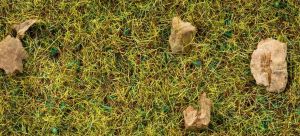 NOC08360 - Berggras - 2;5 mm - 20 g