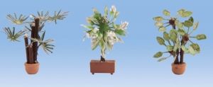 NOC14023 - Mediterrane planten