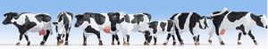NOC15725 - Holstein koeien