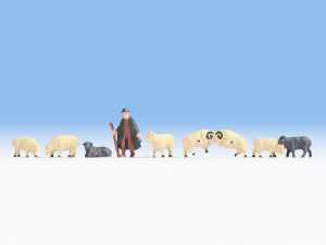 NOC18210 - Herder met 8 schapen