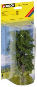 NOC25880 - Lindehout 18.5 cm