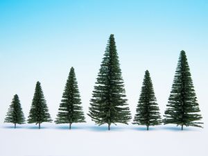 NOC26930 - Lot van 10 dennenbomen om te verplanten van een hoogte van 5 tot 14 cm