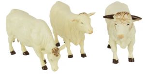 BRI43240 - 3 Charolais-koeien