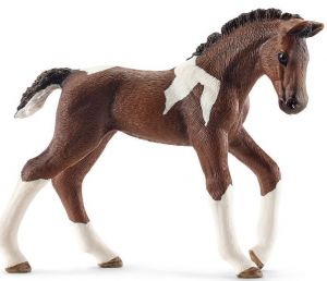 SHL13758 - Veulen Trakehnen