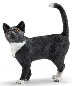SHL13770 - Kat staand