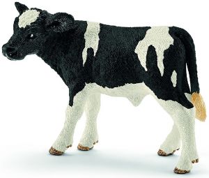 SHL13798 - Holstein kalf