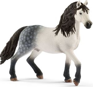 SHL13821 - Andalusische hengst