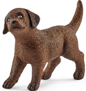 SHL13835 - Labrador Retriever-puppy