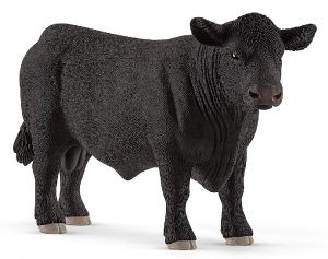 SHL13879 - Angus stier