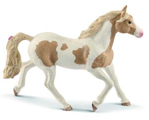 SHL13884 - merrie verf Paard