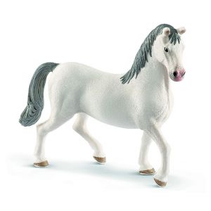 SHL13887 - Lippizaner hengst