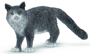 SHL13893 - Maine Coon kat