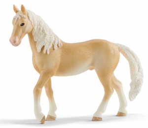 SHL13911 - akhal-teke hengst