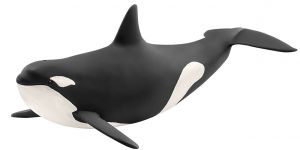 SHL14807 - orka