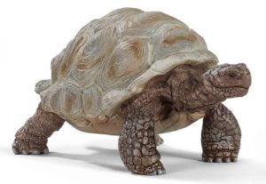 SHL14824 - reuzenschildpad