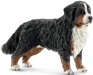 SHL16397 - Berner Sennenhond teef