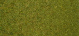 HEK1861 - Vloerkleed van wild gras bos 45x17 cm