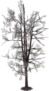 NOC22020 - Boomstructuur - Basswood 18.5 cm