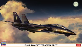 HAW02377 - Vliegtuig TOMCAT F-14A Black Bunny om te assembleren en schilderen