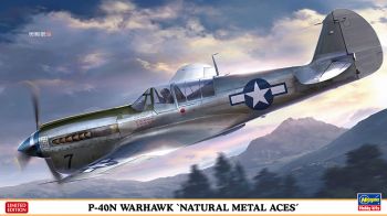HAW07516 - P-40N Warhawk Vliegtuig - Natural Metal Aces om in elkaar te zetten en te schilderen