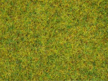 NOC08151 - 120g pot lenteweide gras stroomden 2;5 mm