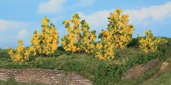 HEK11800 - 6 Forsythiastruiken 3-6 cm