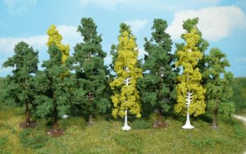 HEK1410 - 12 Loofbomen 7-12 cm