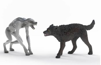 SHL14906 - Weerwolf vs. Faunaat
