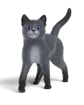 SHL14912 - Karajan de Kat - School voor Magische Dieren