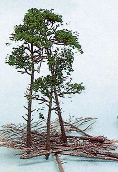 HEK1534 - Set van 10 Pijnbomen 10-16 cm
