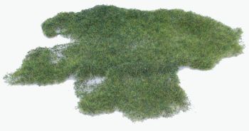 HEK1573 - Realistisch moeras wild gras - 28 x 14 cm