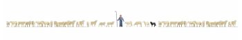 NOC16162 - XL dozen set - 37 schapen en herder