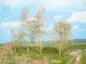 HEK1638 - 20 Bomen in natuurlijke vezels