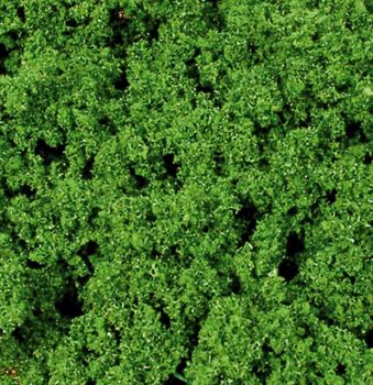 HEK1696 - Artline grof groen bladgroen - 300 ml