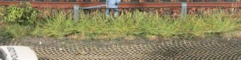 HEK1816 - 8 Lente grasstroken 10 mm