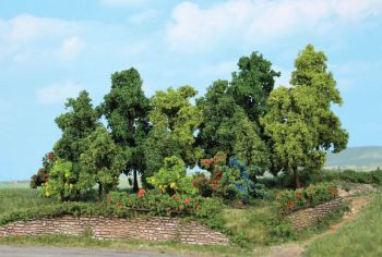 HEK1996 - 18 Bosbomen 1-11 cm