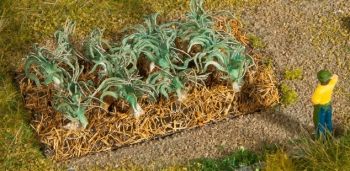 NOC13222 - Prei planten