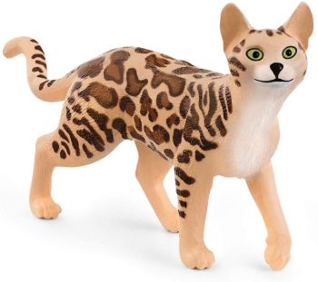 SHL13918 - Bengaalse kat