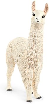 SHL13920 - lama